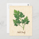 Carte postale Personnaliser Persil italienne (Devant / Derrière)