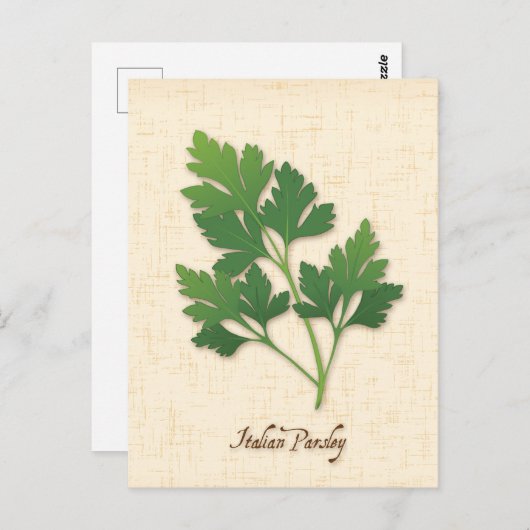 Carte postale Personnaliser Persil italienne (Devant / Derrière)