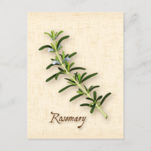 Carte postale Personnaliser Rosemary Herb