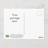 Carte postale Personnaliser Sweet Basil (Dos)