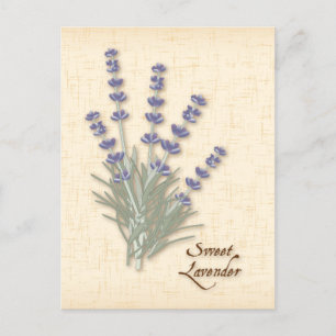 Carte postale Personnaliser Sweet Lavender