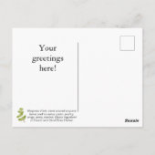 Carte postale Personnaliser Sweet Marjoram (Dos)