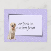 Carte Postale Perte de chien Retriever doré de la part du vétéri (Devant)