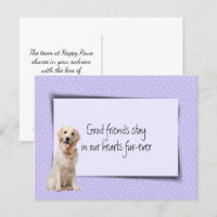 Perte de Golden Retriever de la part du vétérinair