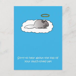Carte Postale Perte de la sympathie de Chinchilla pour animaux d
