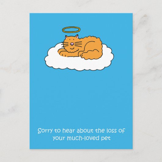 Carte Postale Perte de la sympathie du chat animal de compagnie (Devant)