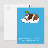 Carte Postale Perte de la sympathie du cochon de Guinée animal (Devant / Derrière)