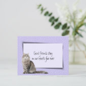 Carte Postale Perte d'un chat gris du vétérinaire (Debout devant)