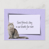 Carte Postale Perte d'un chat gris, vétérinaire (Devant)