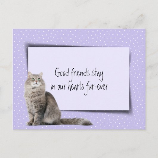 Carte Postale Perte d'un chat gris, vétérinaire (Devant)