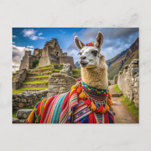 Carte Postale Peru Llama