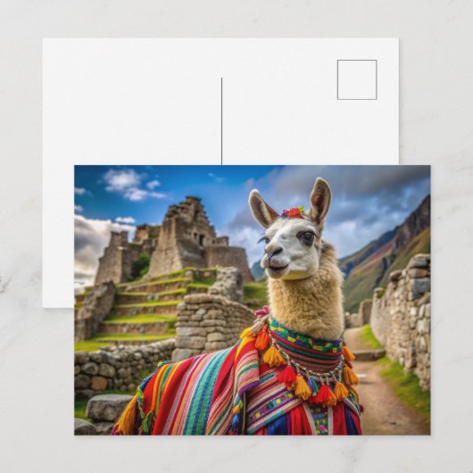 Carte Postale Peru Llama (Devant / Derrière)