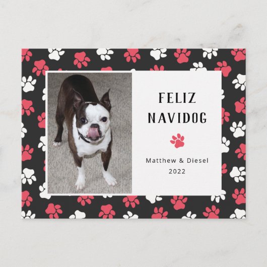 Carte Postale Pet Christmas Card Photo Funny (Devant)