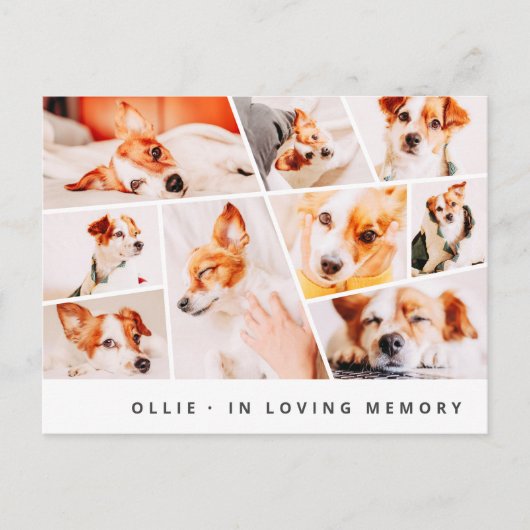 Carte Postale Pet Memorial Modern Simple Chic 9 Photos Collage (Devant)
