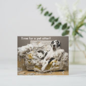 Carte Postale Pet Sitter Great Dane sur Cheval Sofa Postcard (Debout devant)