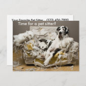 Carte Postale Pet Sitter Great Dane sur Cheval Sofa Postcard (Devant / Derrière)