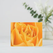 Carte postale Pétale rose (Debout devant)