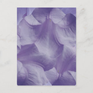 Carte Postale Pétales à fleurs de lune violette