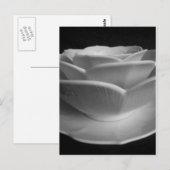 Carte Postale Pétales de fleurs (Devant / Derrière)