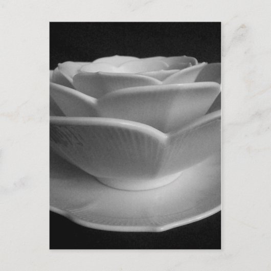 Carte Postale Pétales de fleurs (Devant)