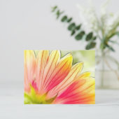 Carte Postale Pétales de fleurs blanches proches (Debout devant)