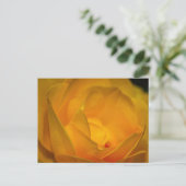 Carte Postale Pétales de rose jaune impressionnistes (Debout devant)