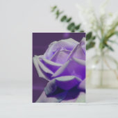 Carte Postale Pétales pourpres Rosebud Flower (Debout devant)