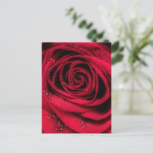 Carte Postale Pétales roses 1 (Debout devant)