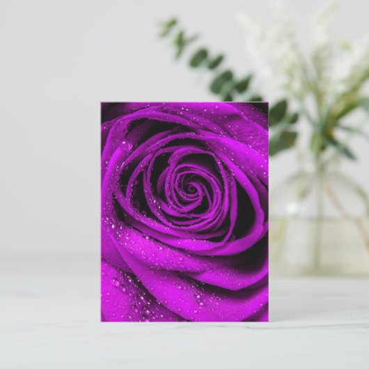 Carte Postale Pétales roses 2 (Debout devant)