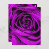 Carte Postale Pétales roses 2 (Devant / Derrière)