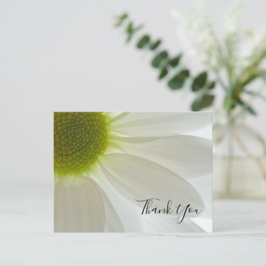 Carte Postale Petals White Daisy Merci Note (Debout devant)