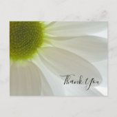 Carte Postale Petals White Daisy Merci Note (Devant)