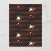 Carte Postale pétards (Devant)