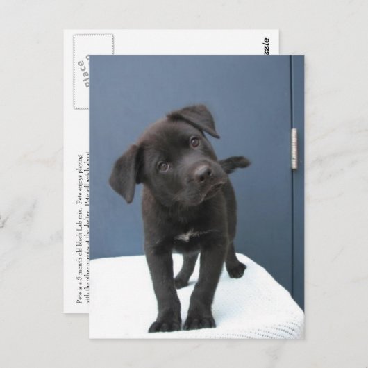 Carte Postale Pete (Devant / Derrière)