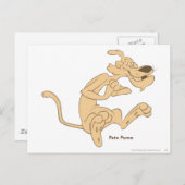 Carte Postale Pete Puma Excité (Devant / Derrière)