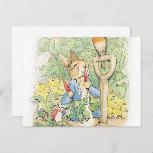 Carte Postale Peter Rabbit In The Garden - Beatrix Potter (Devant / Derrière)