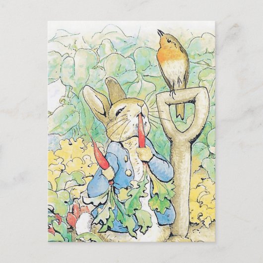 Carte Postale "Peter Rabbit mange une carotte" par Beatrix Potte (Devant)