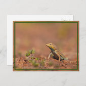 Carte Postale petit (Devant / Derrière)