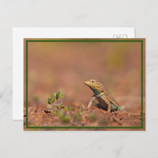 Carte Postale petit (Devant / Derrière)