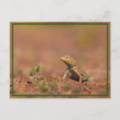 Carte Postale petit (Devant)