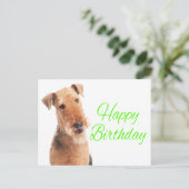 Carte Postale Petit Airedale Terrier Chien Chien Chien Chien Chi (Debout devant)