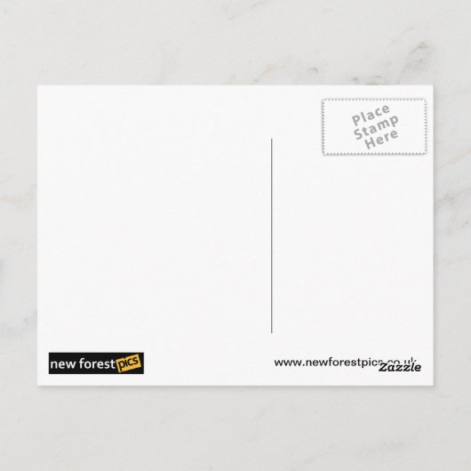 Carte Postale Petit âne (Dos)