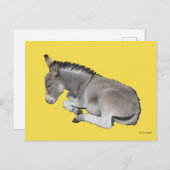 Carte Postale Petit Âne Gris Mignonne Bébé Foal Posé Vers Le Bas (Devant / Derrière)