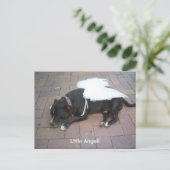 Carte Postale Petit Ange ! (Debout devant)
