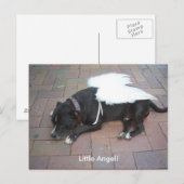 Carte Postale Petit Ange ! (Devant / Derrière)