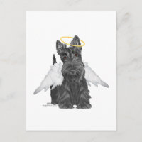 Petit ange Scottie