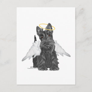 Carte Postale Petit ange Scottie