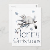 Carte Postale Petit animal belette blanche sur un pin (Devant / Derrière)