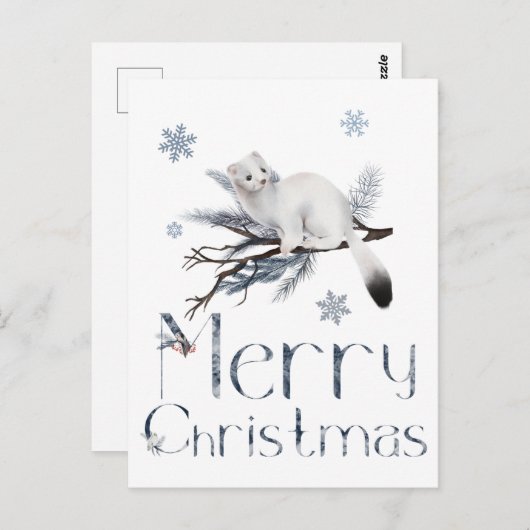 Carte Postale Petit animal belette blanche sur un pin (Devant / Derrière)