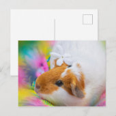 Carte Postale Petit animal de compagnie de porc de Guinée (Devant / Derrière)